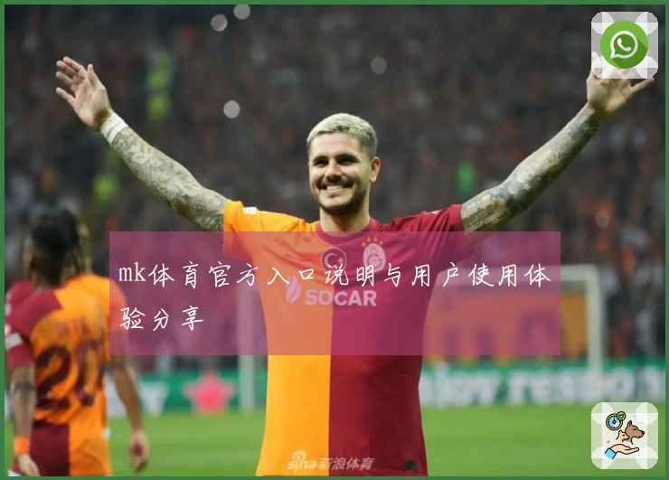 mk体育官方入口说明与用户使用体验分享