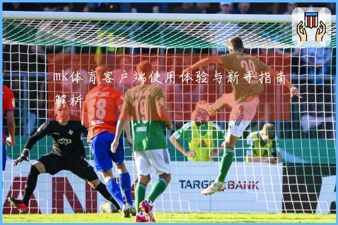 mk体育客户端使用体验与新手指南解析