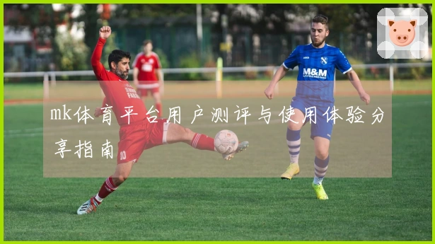 mk体育平台用户测评与使用体验分享指南